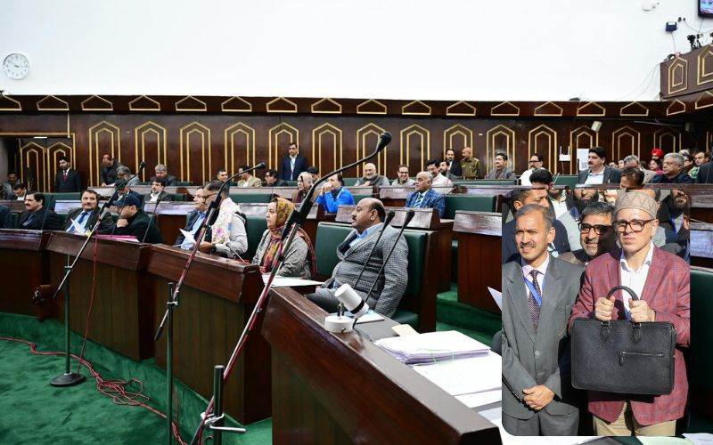 جموں کشمیر اسمبلی میں 1لاکھ 13 ہزار کروڑ کا بجٹ پیش